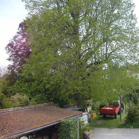 Homestay Du Vieux Tilleul *